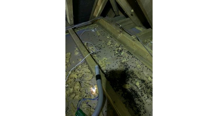 Loft Insulation Removal Cambridge