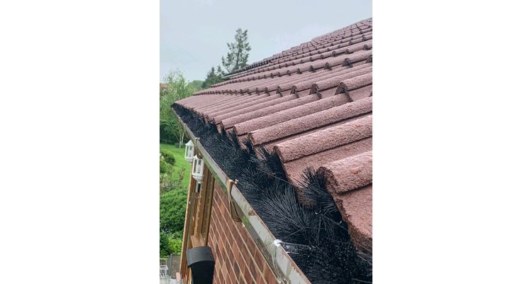 Squirrel Proofing job completed to prevent squirrels in roof of a property in Norwich Norfolk