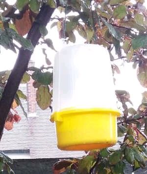 Wasp Funnel Trap