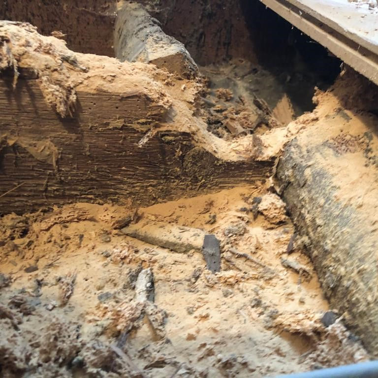 Woodworm - extensive damage to floor infrastructure