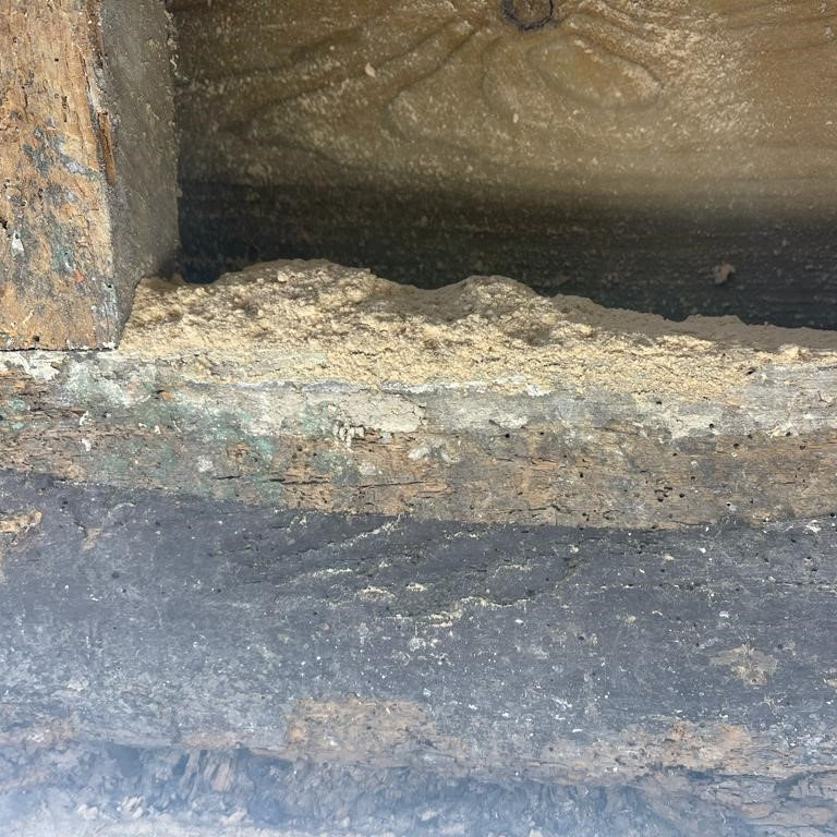 Woodworm - sawdust pile