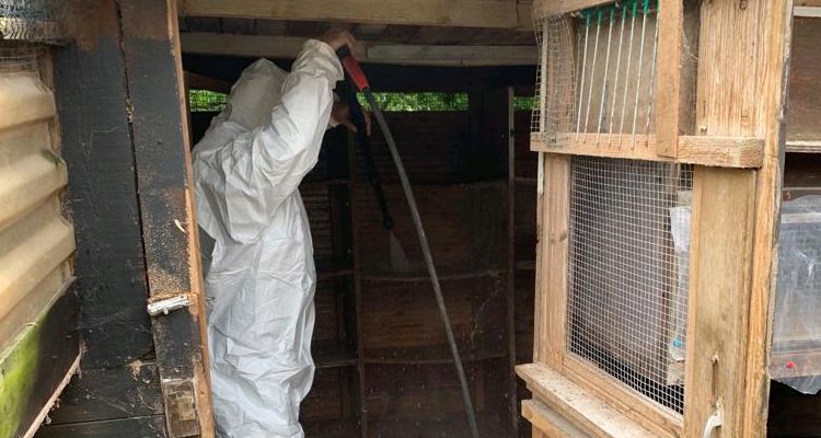 Clean and sanitise an old Aviary shed in Ipswich Suffolk