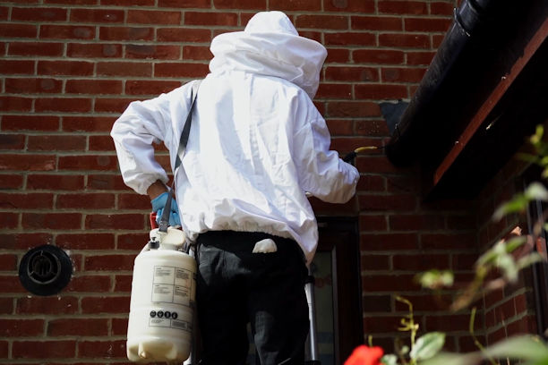 Wasp exterminator discount