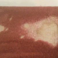 Damaged Carpet