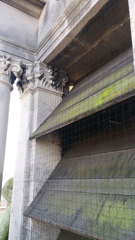 Bird Proofing at Colchester Town Hall