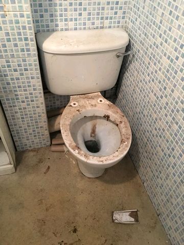 before toilet