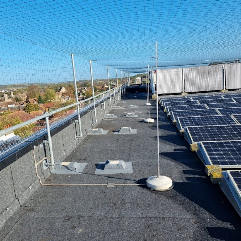 Bird Control Hospital Roof Bird Netting and Spikes