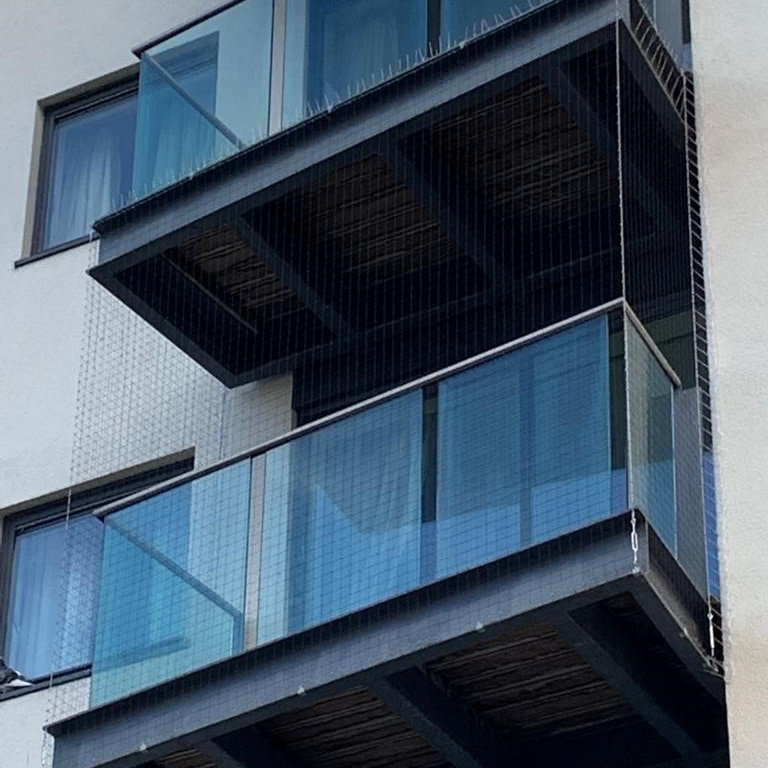 Bird Control Netting and Spikes to protect a balcony