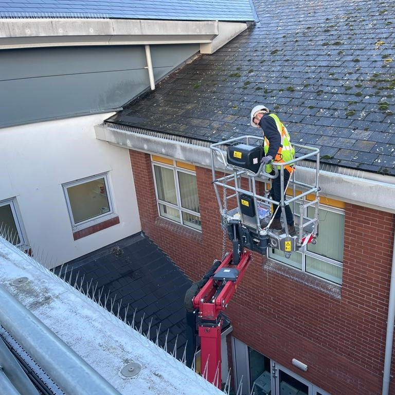 Bird Control Working at height Bird Spike installation