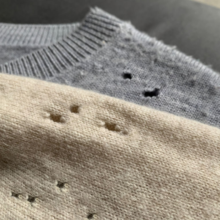 Carpet Beetles Damage to Clothing