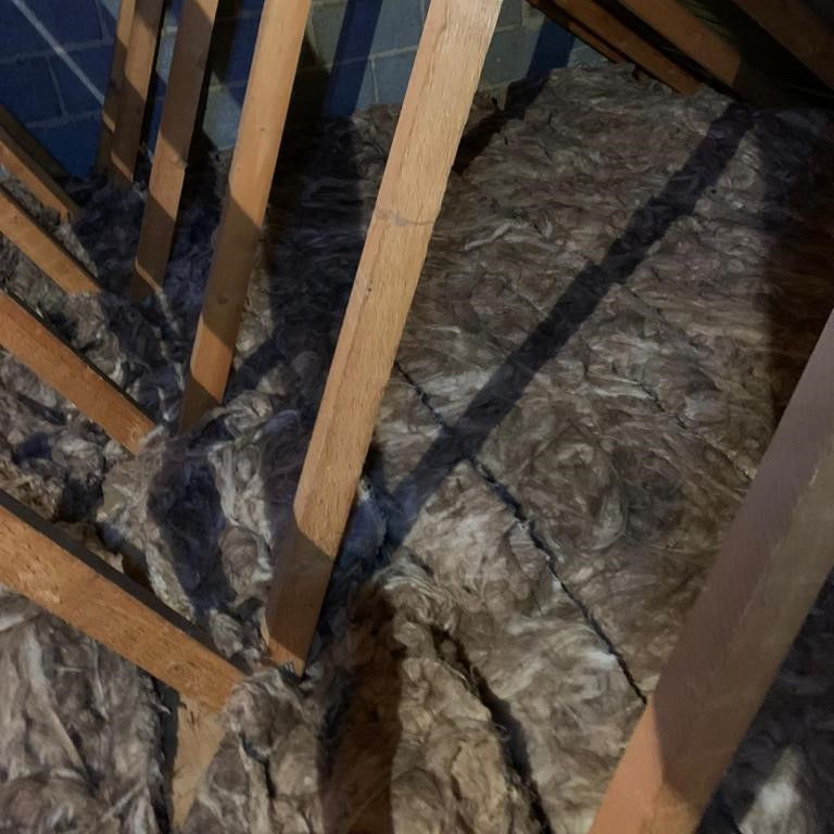 Contaminated Loft Insulation Insulation Removal and Replacement Service