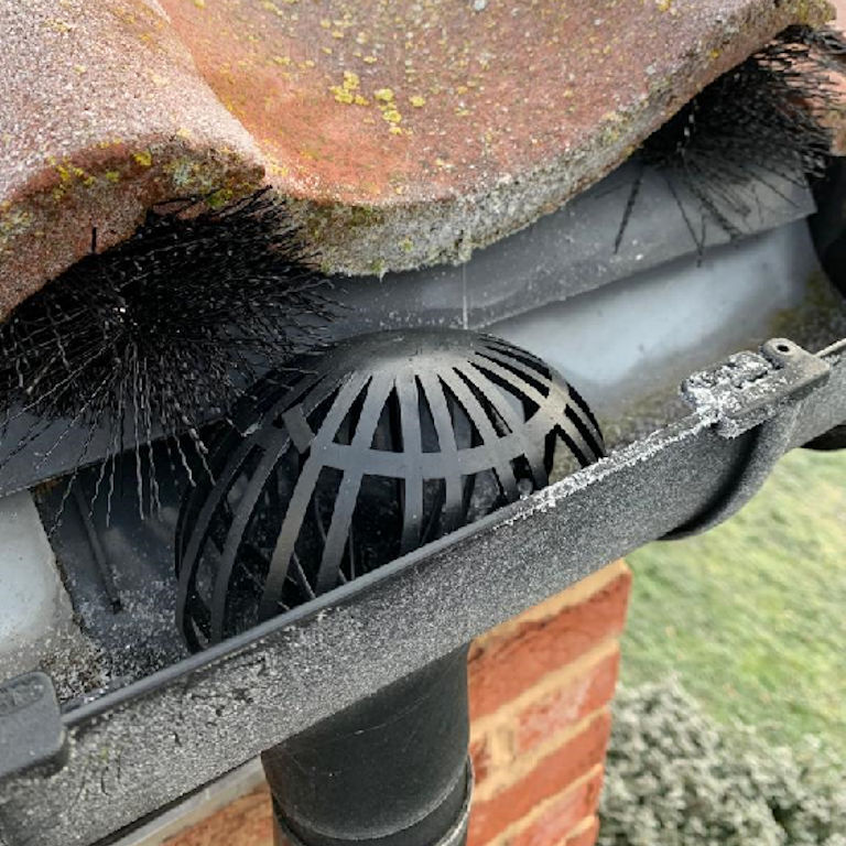 Pest Proofing Pest Access Control
