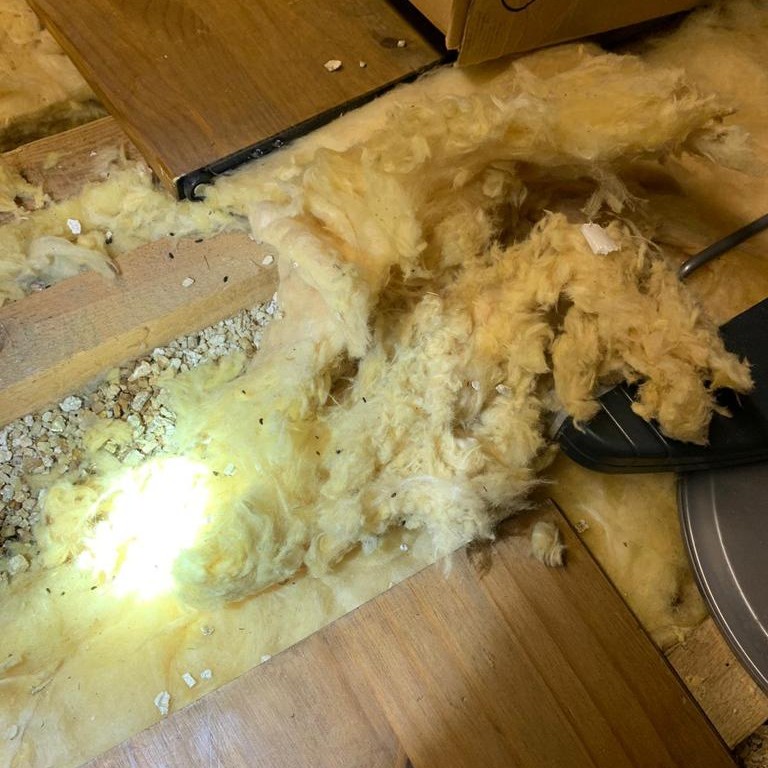 Mice Pest Control Mice Mouse Exterminator