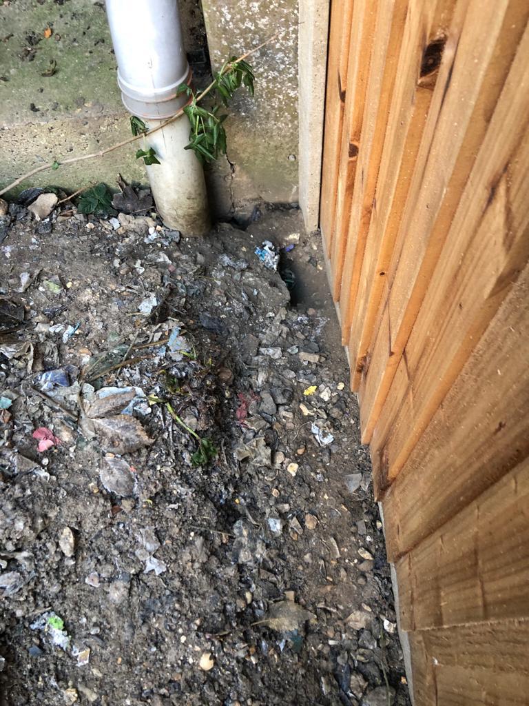 Rodent Access hole next to a drain
