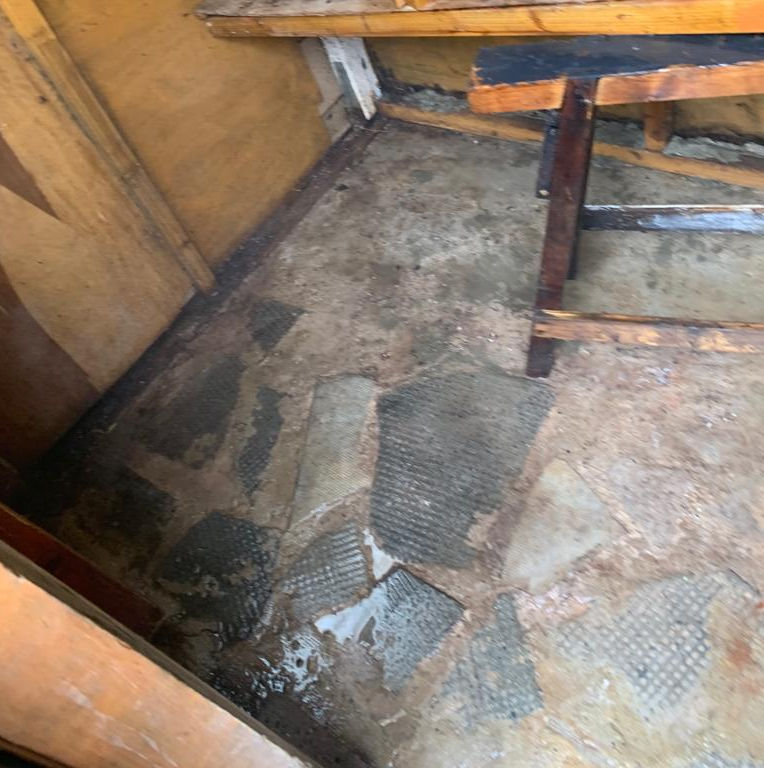 Aviary Clean - After