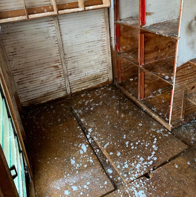 Aviary Cleaning - waste