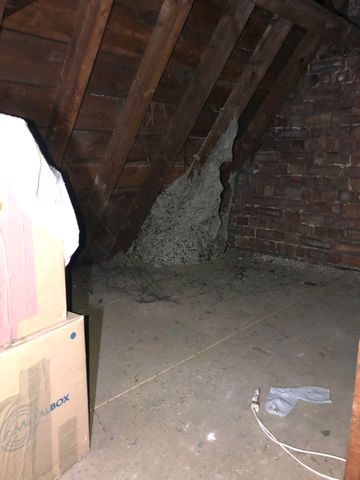 BIG wasp nest sept 21