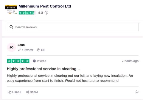 trust pilot review